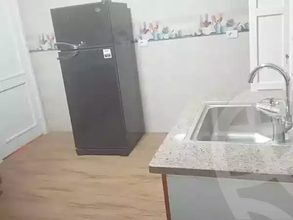 https://aqarmap.com.eg/en/listing/7179824-for-rent-cairo-dokki