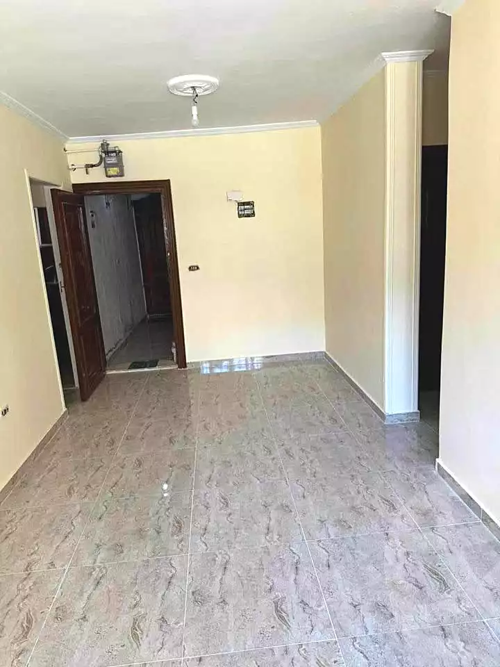 https://aqarmap.com.eg/en/listing/7185987-for-sale-alexandria-ganaklis
