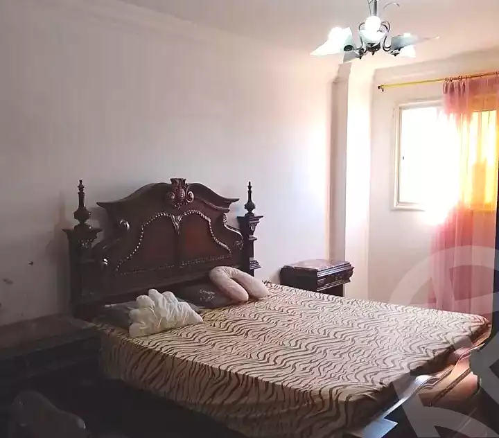 https://aqarmap.com.eg/ar/listing/7188642-for-rent-alexandria-miami