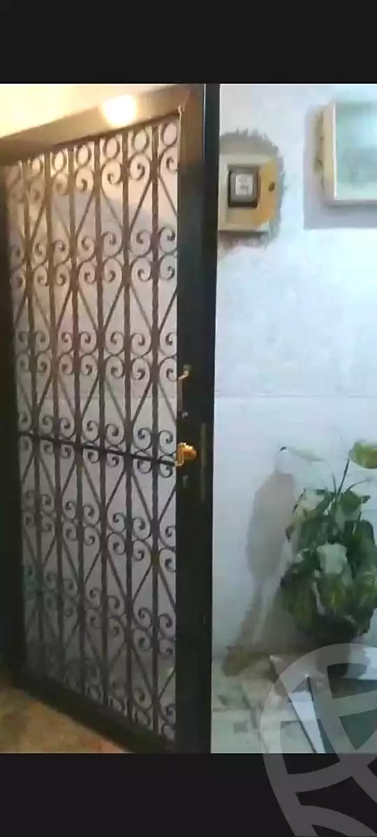 https://aqarmap.com.eg/ar/listing/7194045-for-sale-alexandria-miami