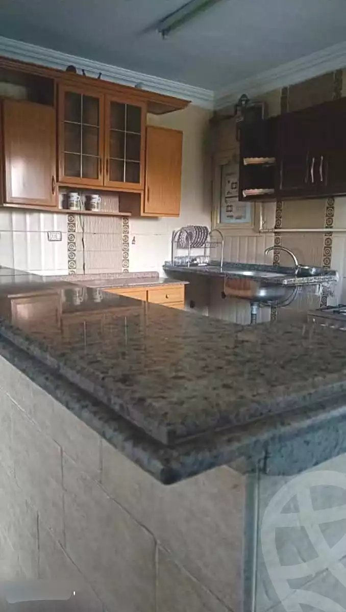 https://aqarmap.com.eg/en/listing/7194318-for-rent-cairo-ain-shams-ahmed-esmat-st