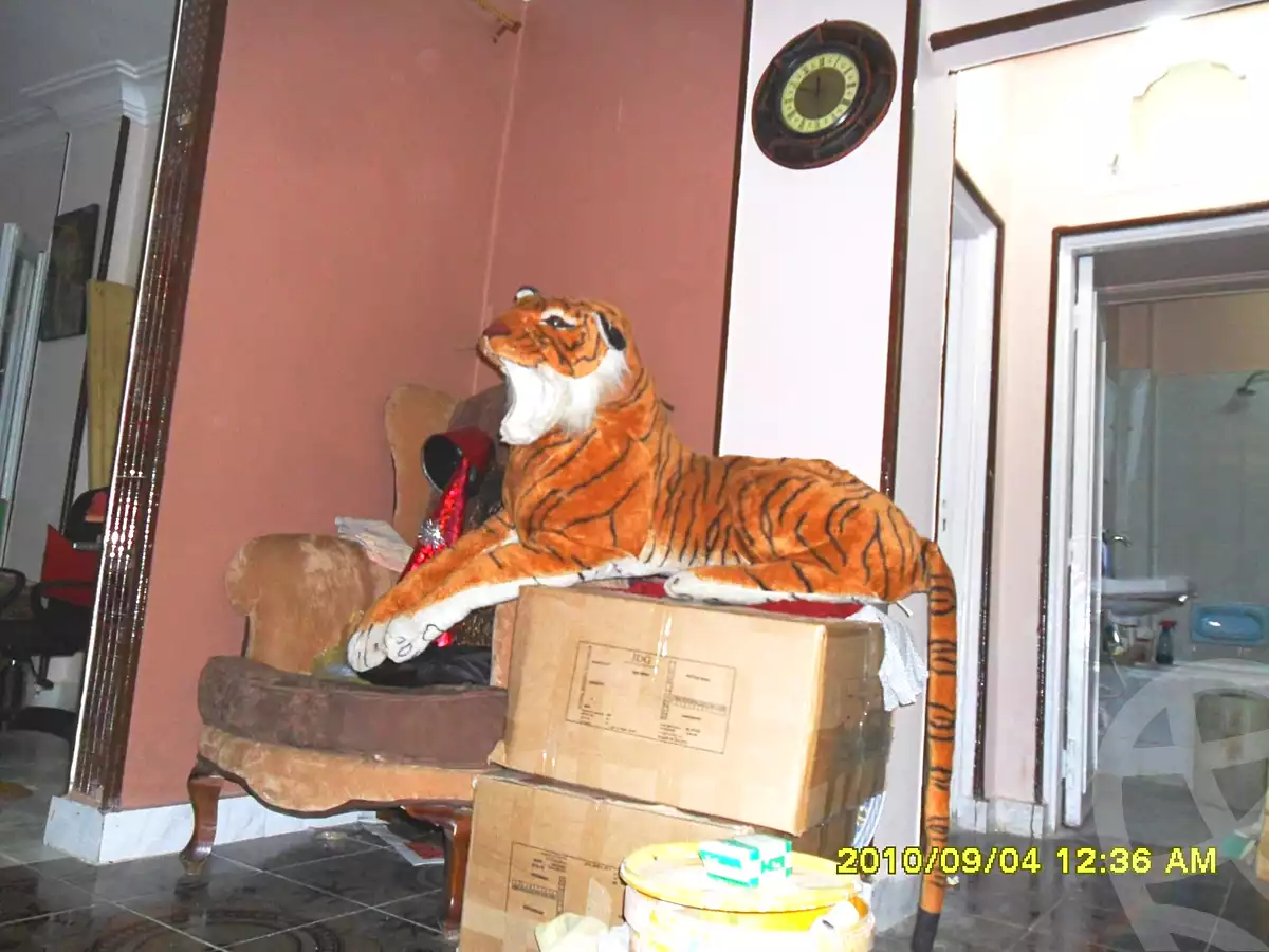 https://aqarmap.com.eg/en/listing/7194670-for-rent-cairo-15th-of-may-mjwr-25