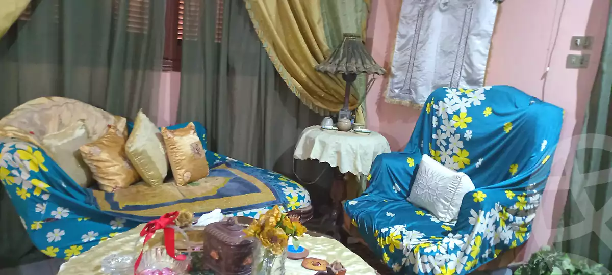 https://aqarmap.com.eg/en/listing/7195127-for-rent-monufia-shibin-el-kom-el-barr-el-sharqy