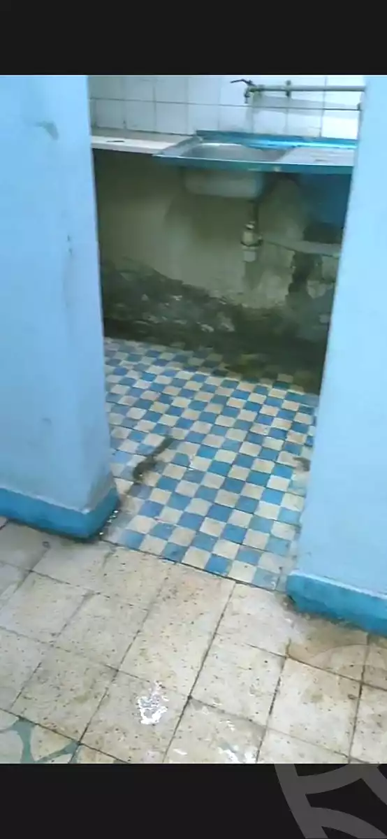 https://aqarmap.com.eg/ar/listing/7200777-for-sale-cairo-faisal-awel-faisal