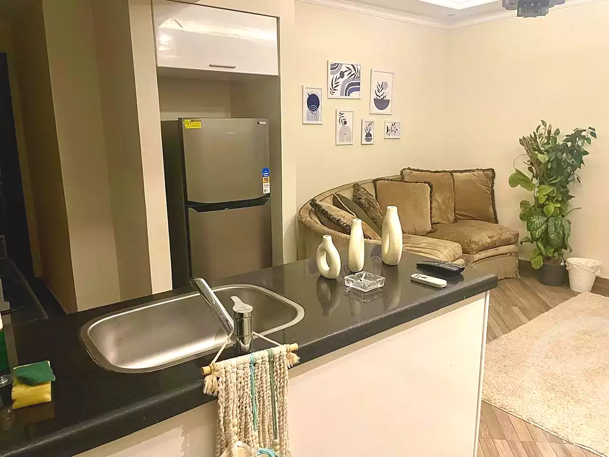 https://aqarmap.com.eg/en/listing/7202255-for-rent-cairo-new-cairo-el-choueifat-al-shouyfat-st