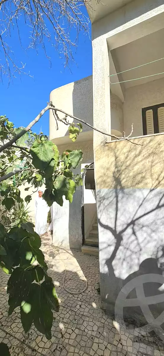 https://aqarmap.com.eg/en/listing/7202333-for-sale-alexandria-abu-talat