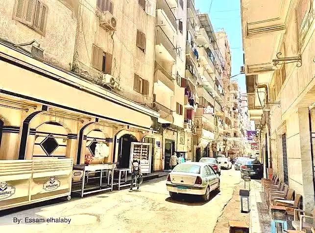 https://aqarmap.com.eg/ar/listing/7203974-for-sale-alexandria-al-agamy-lbytsh-princess-st