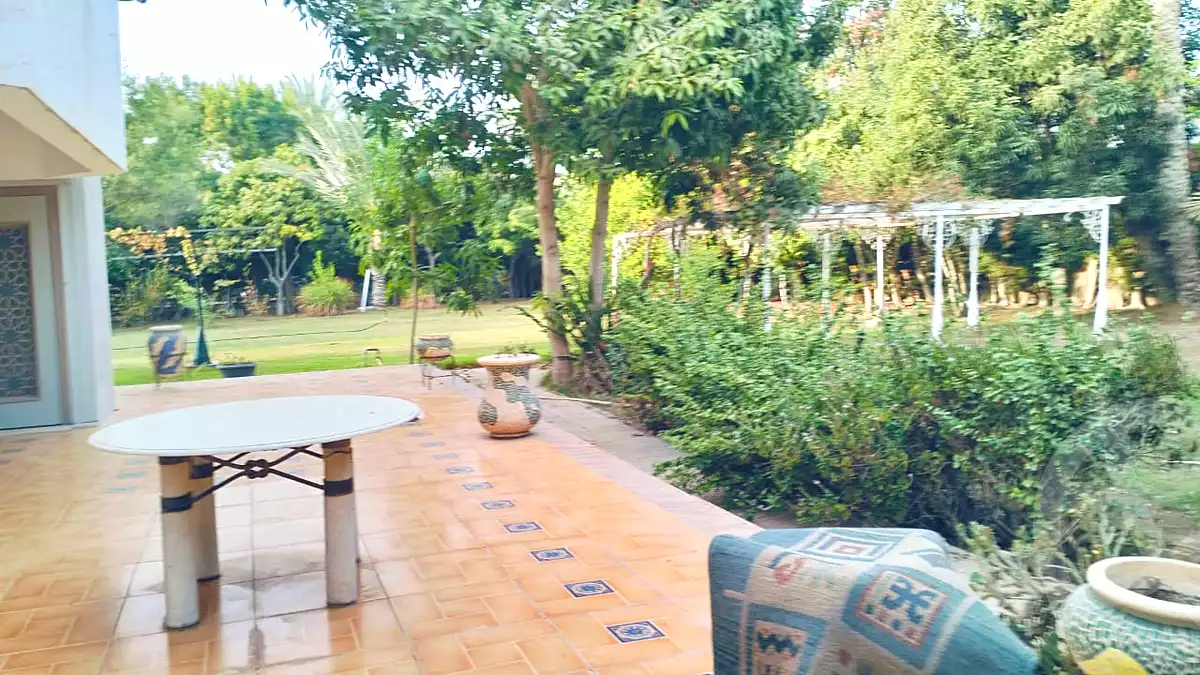 6 BR Villa in Al Rabwa, photo 10 of 11