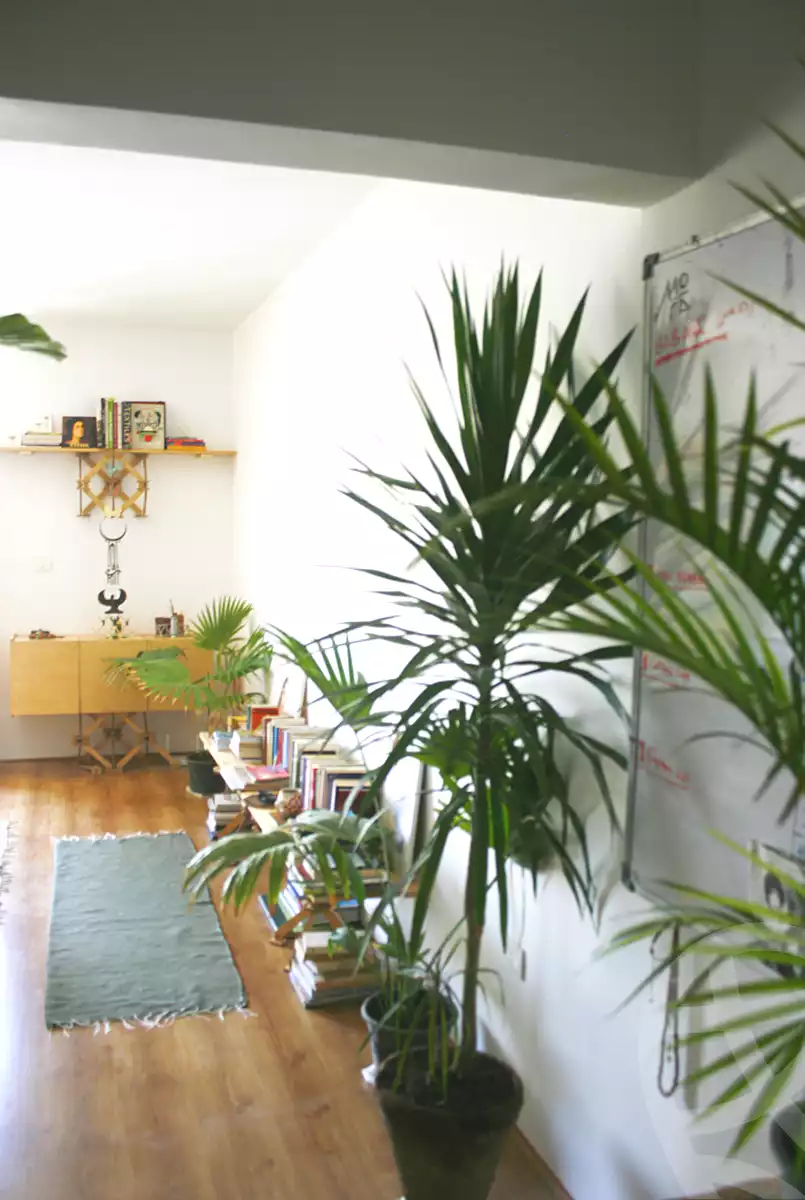 https://aqarmap.com.eg/ar/listing/7204777-for-rent-cairo-old-cairo-el-khayala