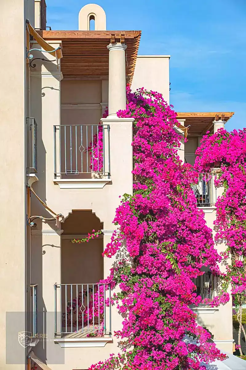 https://aqarmap.com.eg/ar/listing/7204896-for-sale-red-sea-sahl-hasheesh-sahl-hasheesh-resorts-veranda
