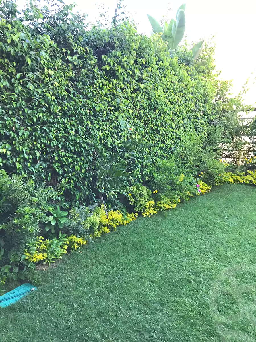3 BR Townhouse in Hyde Park, photo 6 of 12
