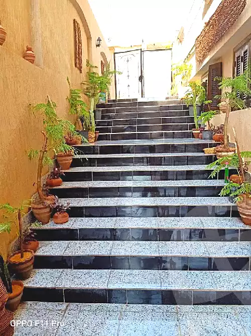 https://aqarmap.com.eg/ar/listing/7211759-for-rent-cairo-new-cairo-el-yassamin-el-yasmeen-3-mohamed-rahim-st