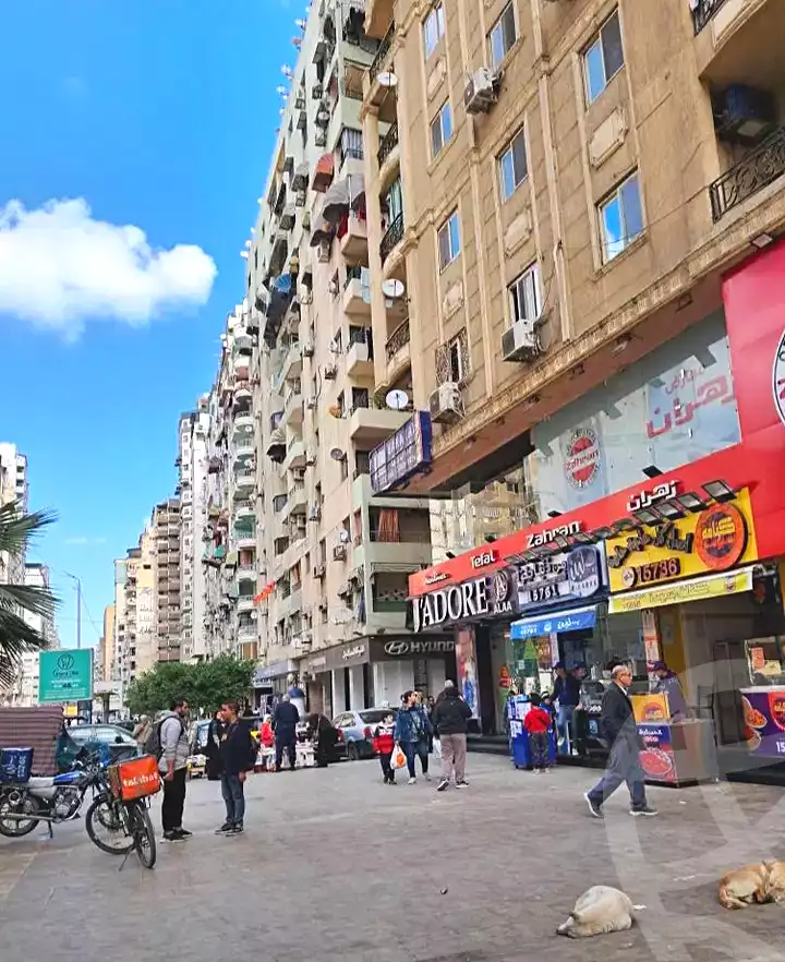 https://aqarmap.com.eg/ar/listing/7212630-for-sale-alexandria-el-asafra-shr-jml-bd-lnsr