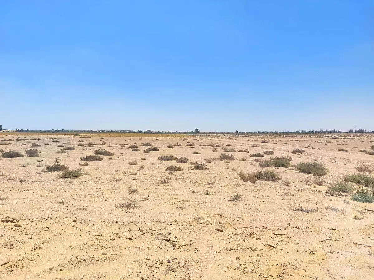 https://aqarmap.com.eg/en/listing/7212847-for-sale-beni-suef-el-wasta-medom
