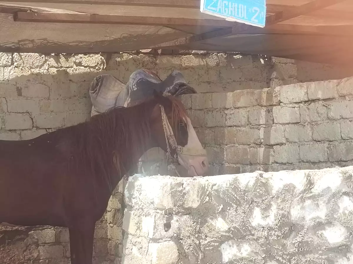 https://aqarmap.com.eg/en/listing/7212974-for-sale-el-fayoum-asyut-rd