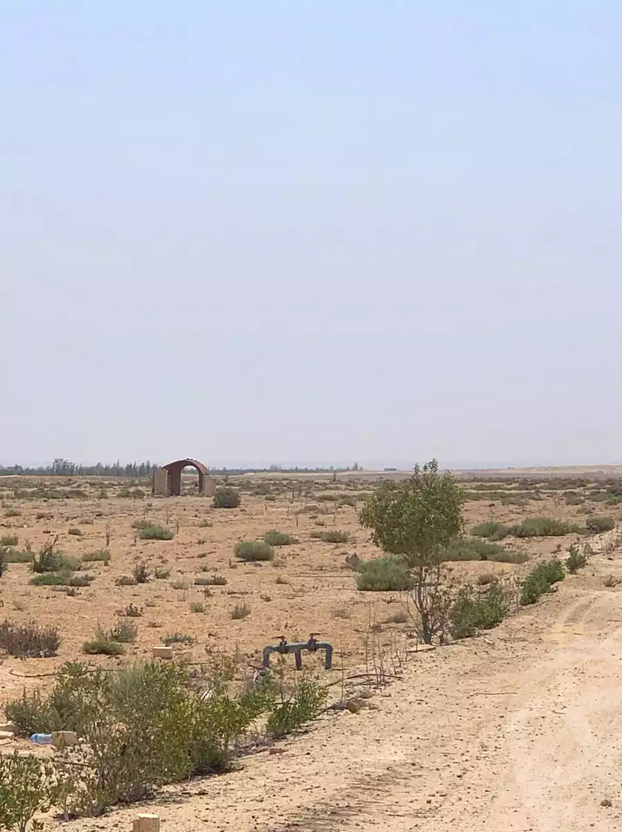 https://aqarmap.com.eg/en/listing/7212988-for-sale-el-fayoum-asyut-rd