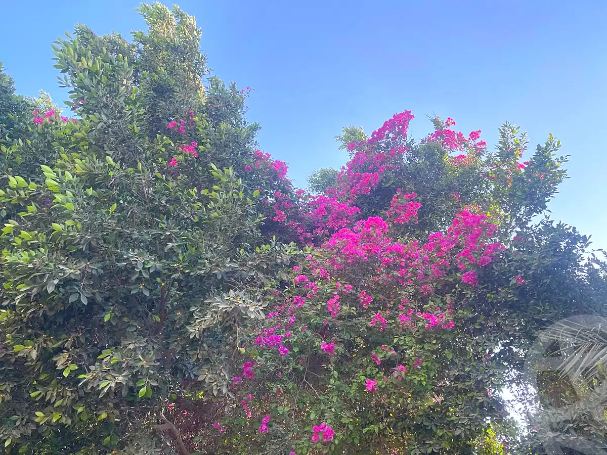 https://aqarmap.com.eg/ar/listing/7213013-for-sale-cairo-6th-of-october-green-belt-wadi-el-nile