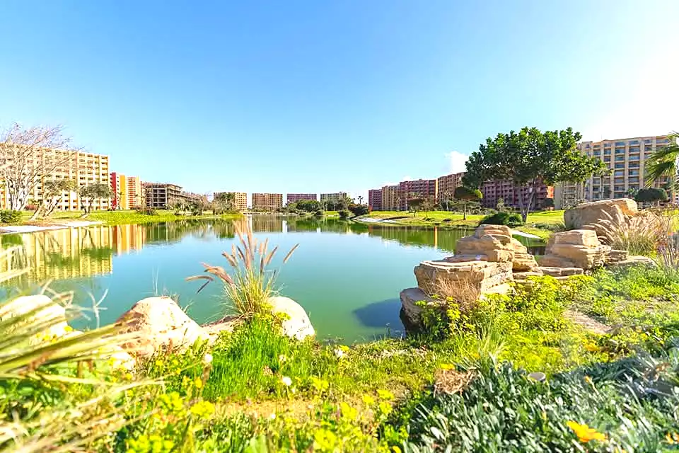 https://aqarmap.com.eg/en/listing/7213652-for-sale-north-coast-resorts-porto-golf-marina