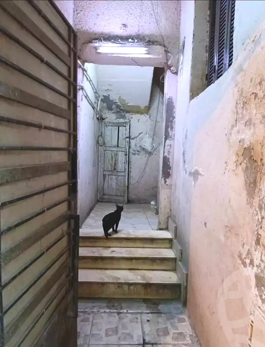 https://aqarmap.com.eg/ar/listing/7214705-for-sale-cairo-el-abbasiya