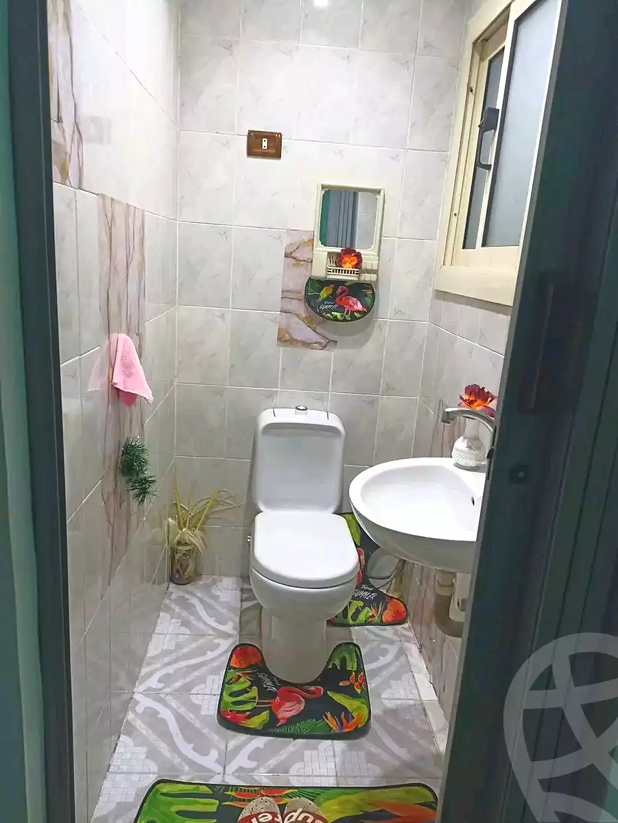 https://aqarmap.com.eg/en/listing/7215387-for-rent-cairo-faisal-el-maryotyah