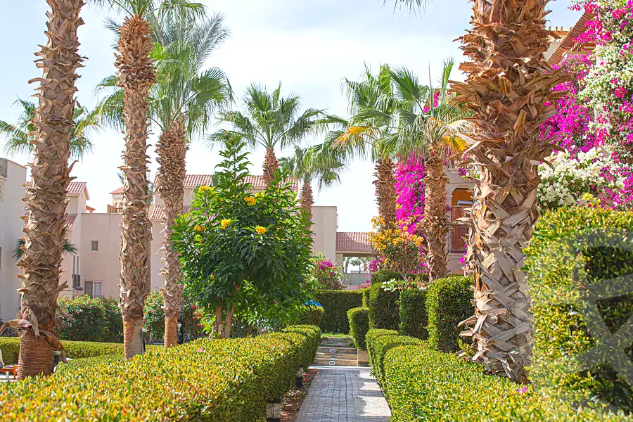 https://aqarmap.com.eg/ar/listing/7216349-for-sale-red-sea-sahl-hasheesh-sahl-hasheesh-resorts-veranda
