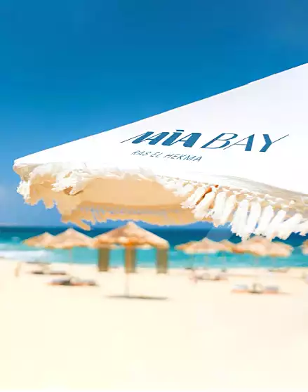 https://aqarmap.com.eg/ar/listing/7216435-for-sale-north-coast-resorts-ny-by-jmyr-yjybt