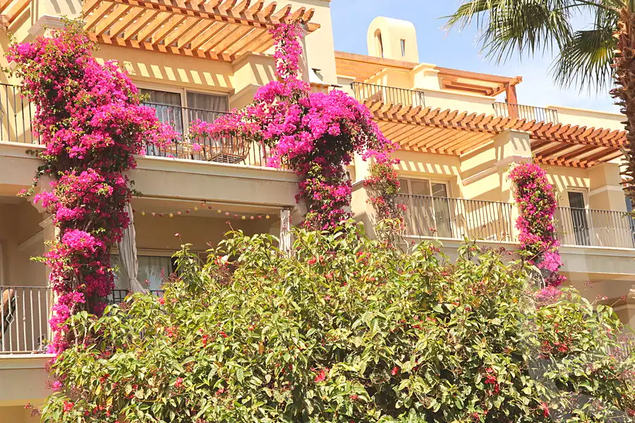 https://aqarmap.com.eg/ar/listing/7216473-for-sale-red-sea-sahl-hasheesh-sahl-hasheesh-resorts-veranda