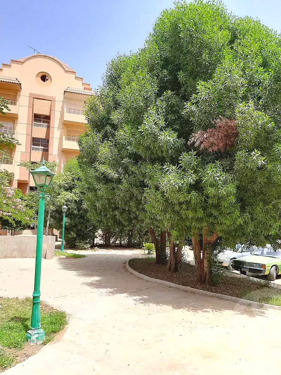 شقة بـ٣ غرف نوم في Al Bostan، صورة ١٨ من ٢٣