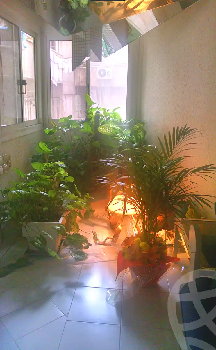 https://aqarmap.com.eg/en/listing/7219042-for-sale-alexandria-tharwat