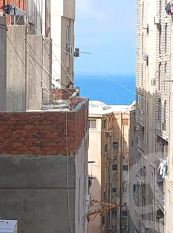 https://aqarmap.com.eg/en/listing/7219871-for-sale-alexandria-el-mandara-alex-el-mandara-bahri-sidi-kamal-st