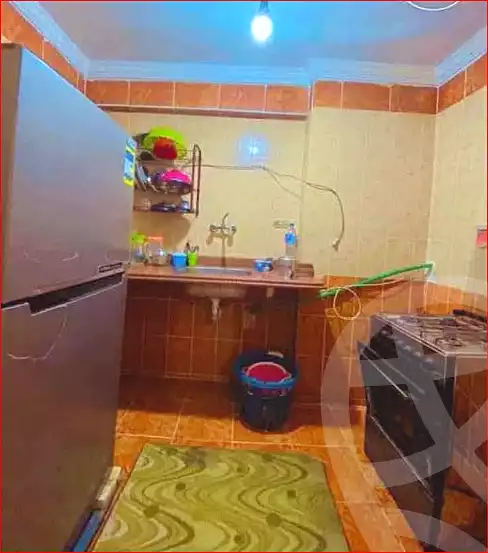 https://aqarmap.com.eg/ar/listing/7220730-for-rent-alexandria-miami-hasan-zagmor-st