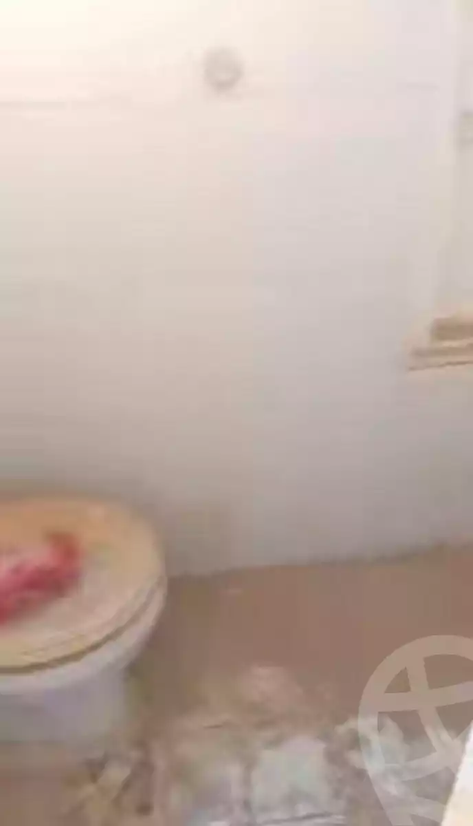 https://aqarmap.com.eg/en/listing/7220892-for-sale-cairo-ain-shams-mnshy-lthryr