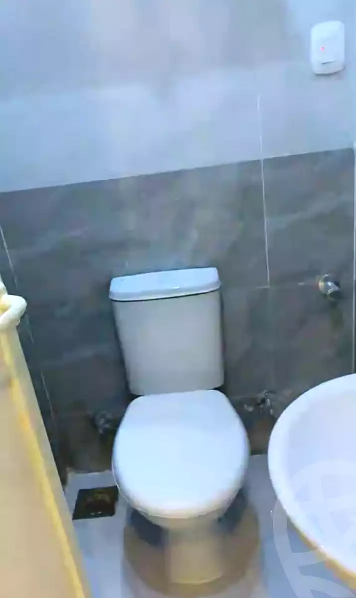 https://aqarmap.com.eg/en/listing/7222430-for-sale-cairo-faisal-el-lebeny