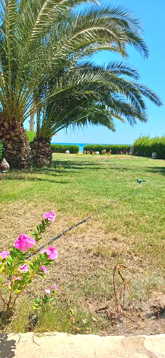 https://aqarmap.com.eg/en/listing/7223492-for-sale-ain-elsokhna-tryq-l-yn-lskhn-lz-frn