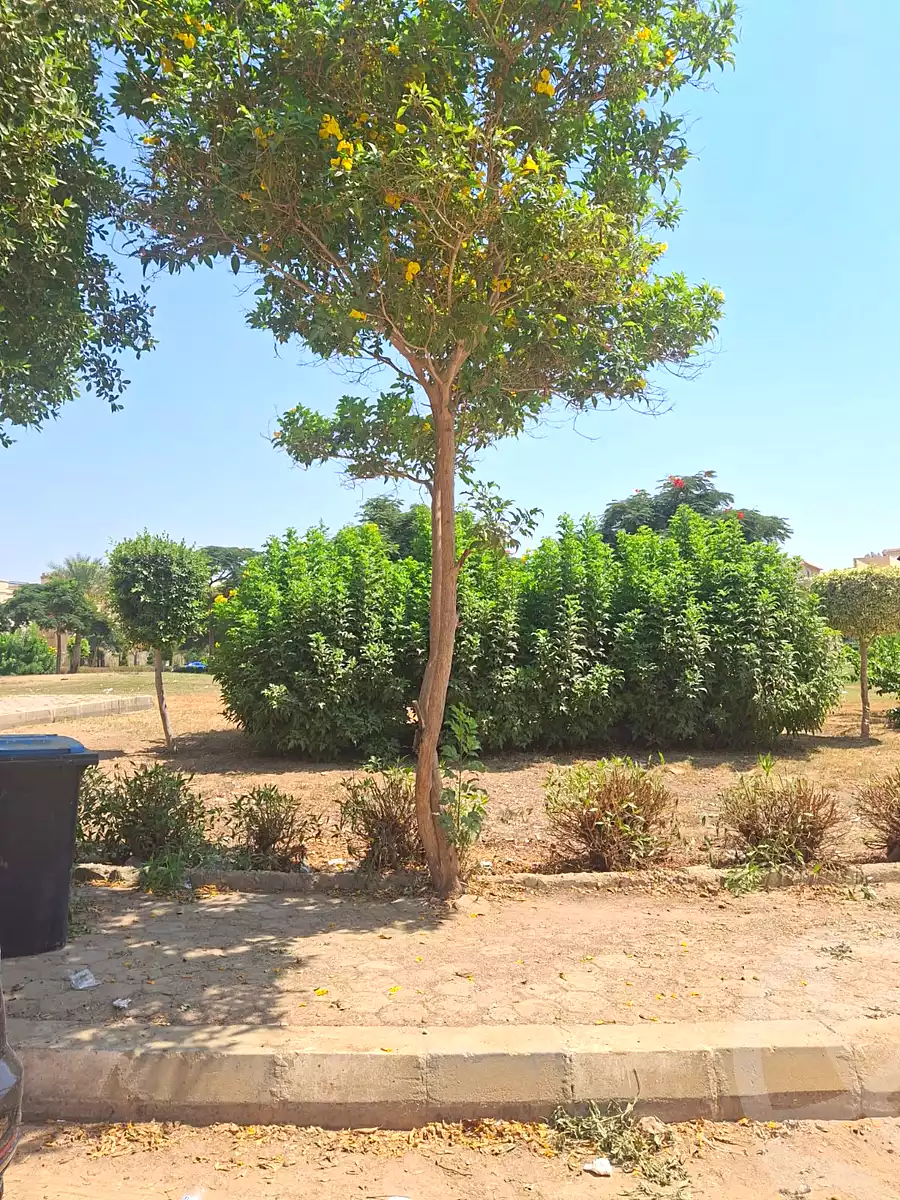 https://aqarmap.com.eg/en/listing/7223936-for-sale-cairo-new-cairo-el-banafsg-el-banafsag-12