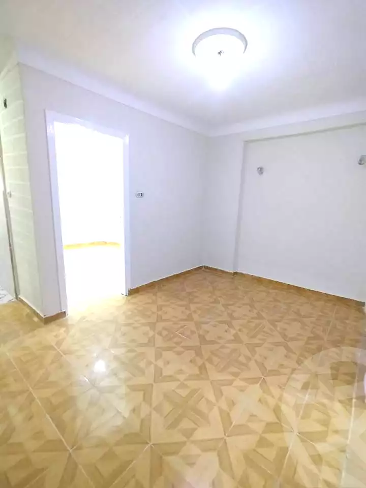 https://aqarmap.com.eg/en/listing/7227313-for-sale-alexandria-lsywf-el-falki