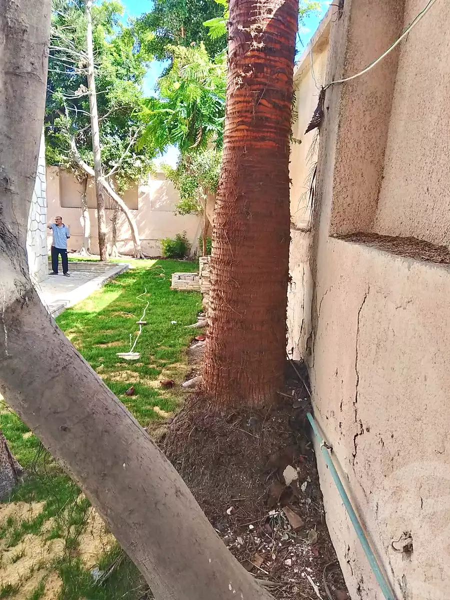 https://aqarmap.com.eg/en/listing/7233188-for-sale-alexandria-al-agamy-lbytsh-el-hanafeya-st
