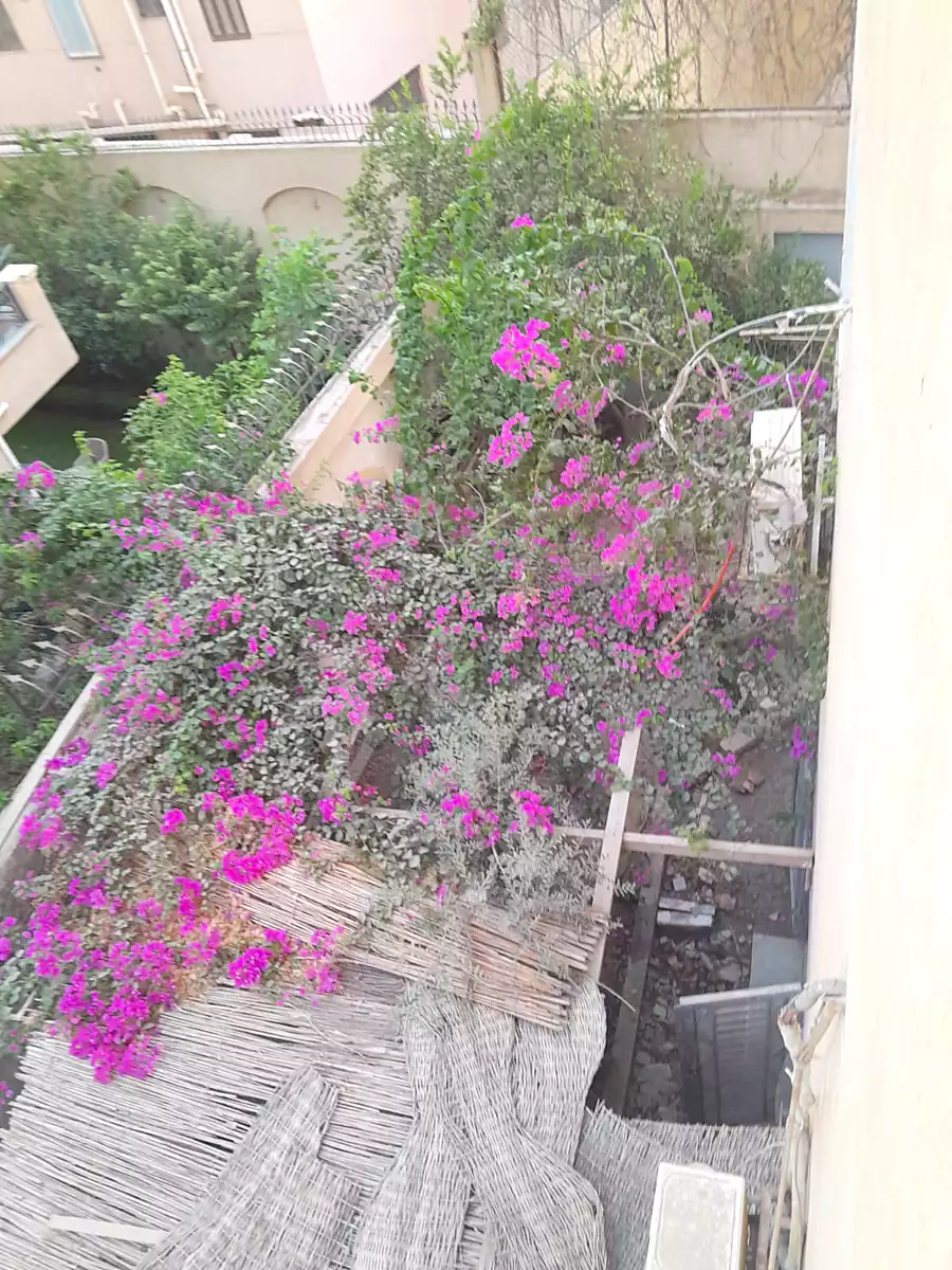 https://aqarmap.com.eg/en/listing/7233993-for-rent-cairo-6th-of-october-hadaeq-october-october-gardens