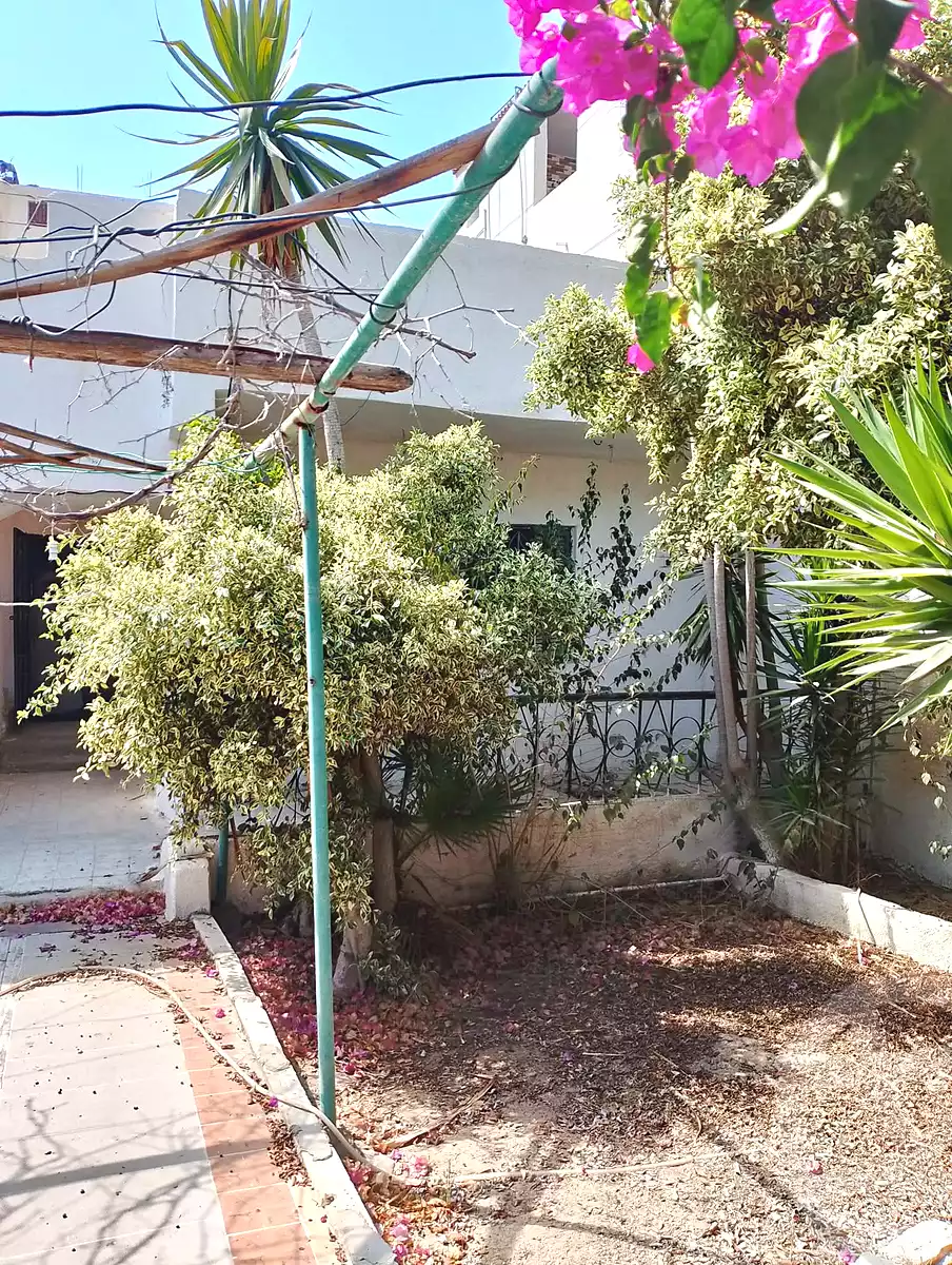 https://aqarmap.com.eg/ar/listing/7234246-for-sale-alexandria-abu-talat