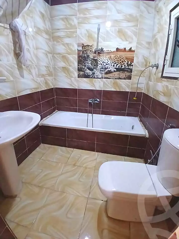 https://aqarmap.com.eg/ar/listing/7234805-for-sale-alexandria-al-agamy-lbytsh-bianchiii