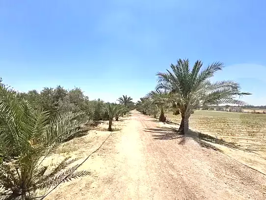 https://aqarmap.com.eg/en/listing/7236918-for-sale-beheira-wadi-el-natrun