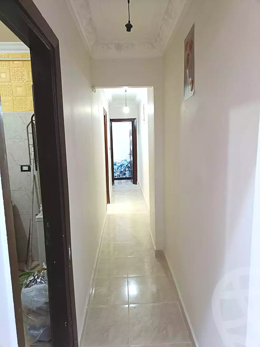 https://aqarmap.com.eg/ar/listing/7239173-for-rent-alexandria-miami