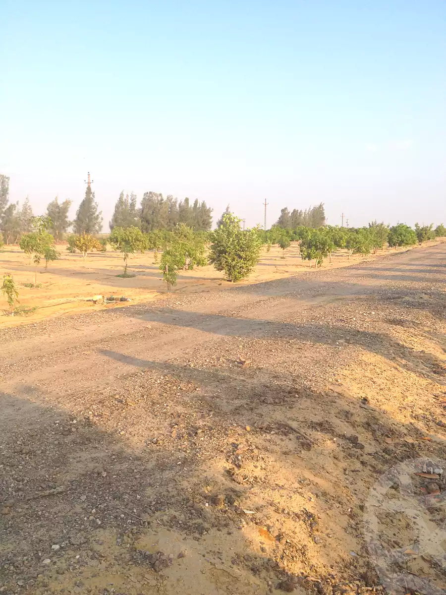 https://aqarmap.com.eg/en/listing/7239834-for-sale-cairo-el-sheikh-zayed-city-alex-cairo-desert-road-mdyn-sfnks-ljdyd