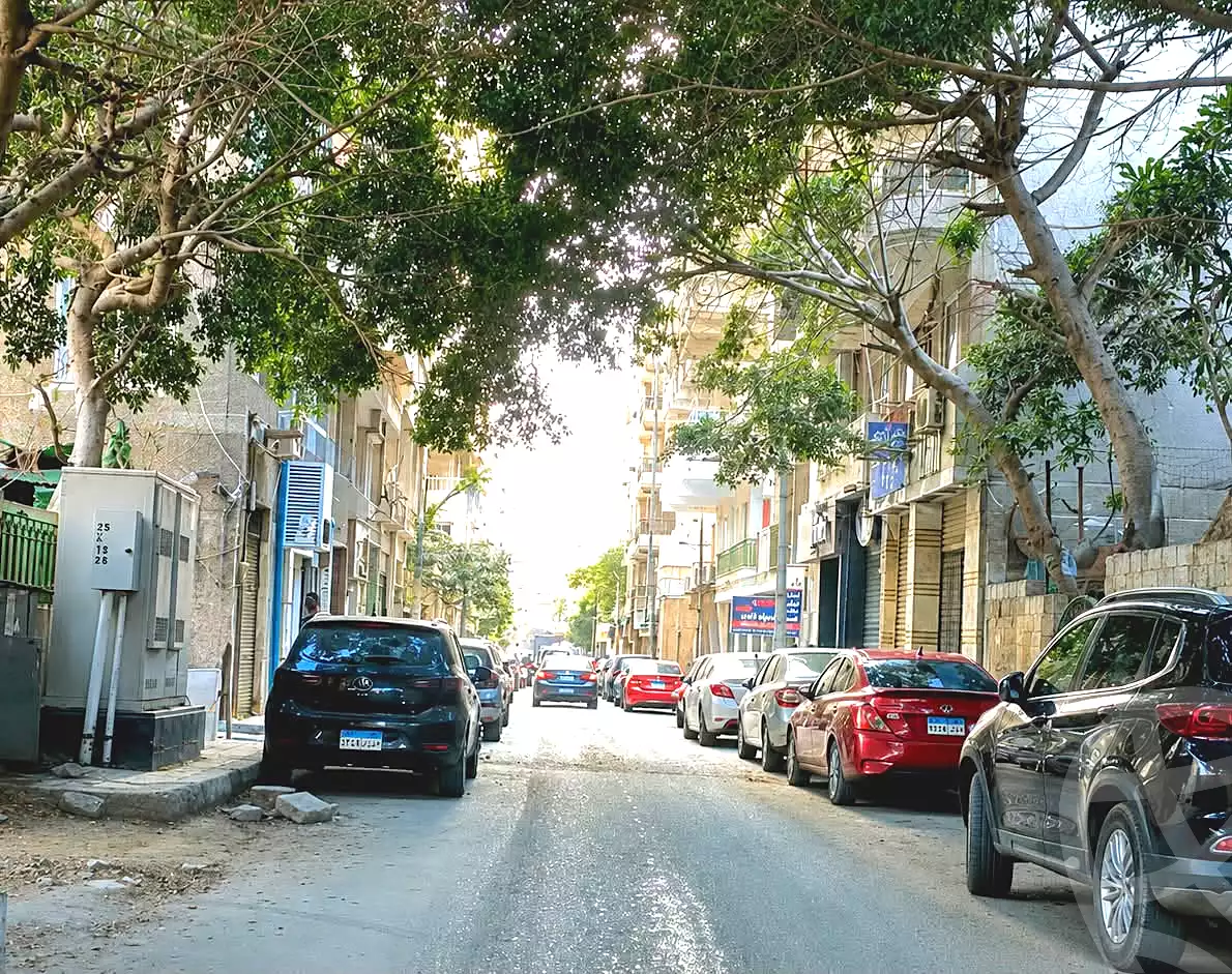 https://aqarmap.com.eg/en/listing/7242419-for-sale-alexandria-bolekly