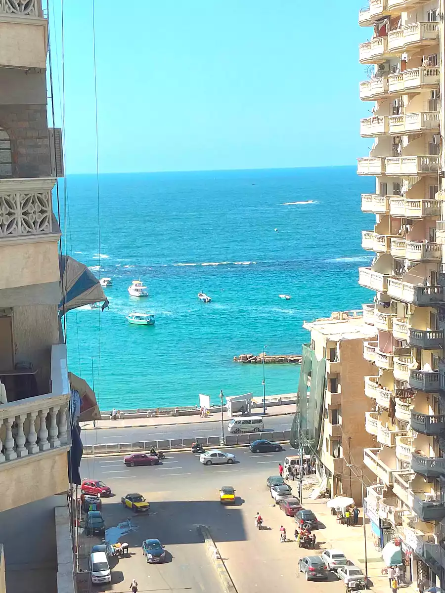 https://aqarmap.com.eg/en/listing/7242463-for-sale-alexandria-miami-iskandar-ibrahim-st