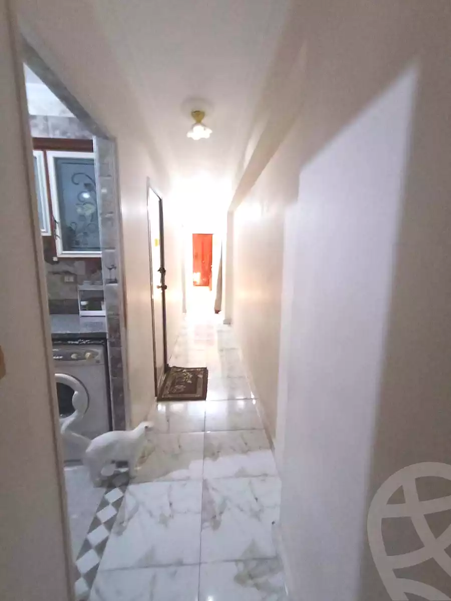 https://aqarmap.com.eg/ar/listing/7245494-for-sale-alexandria-fyktwry-el-galaa-st