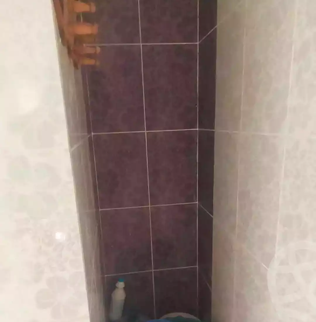 https://aqarmap.com.eg/ar/listing/7245513-for-sale-alexandria-al-agamy-lbytsh-shahr-al-assal-st