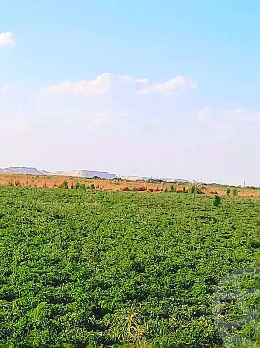 https://aqarmap.com.eg/en/listing/7245825-for-sale-cairo-ljyz-l-yt