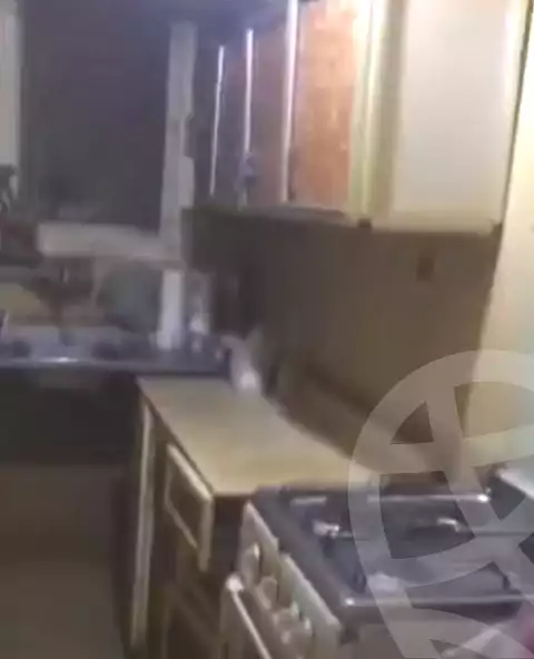 https://aqarmap.com.eg/ar/listing/7246667-for-rent-cairo-ain-shams-ain-shams-el-sharkia
