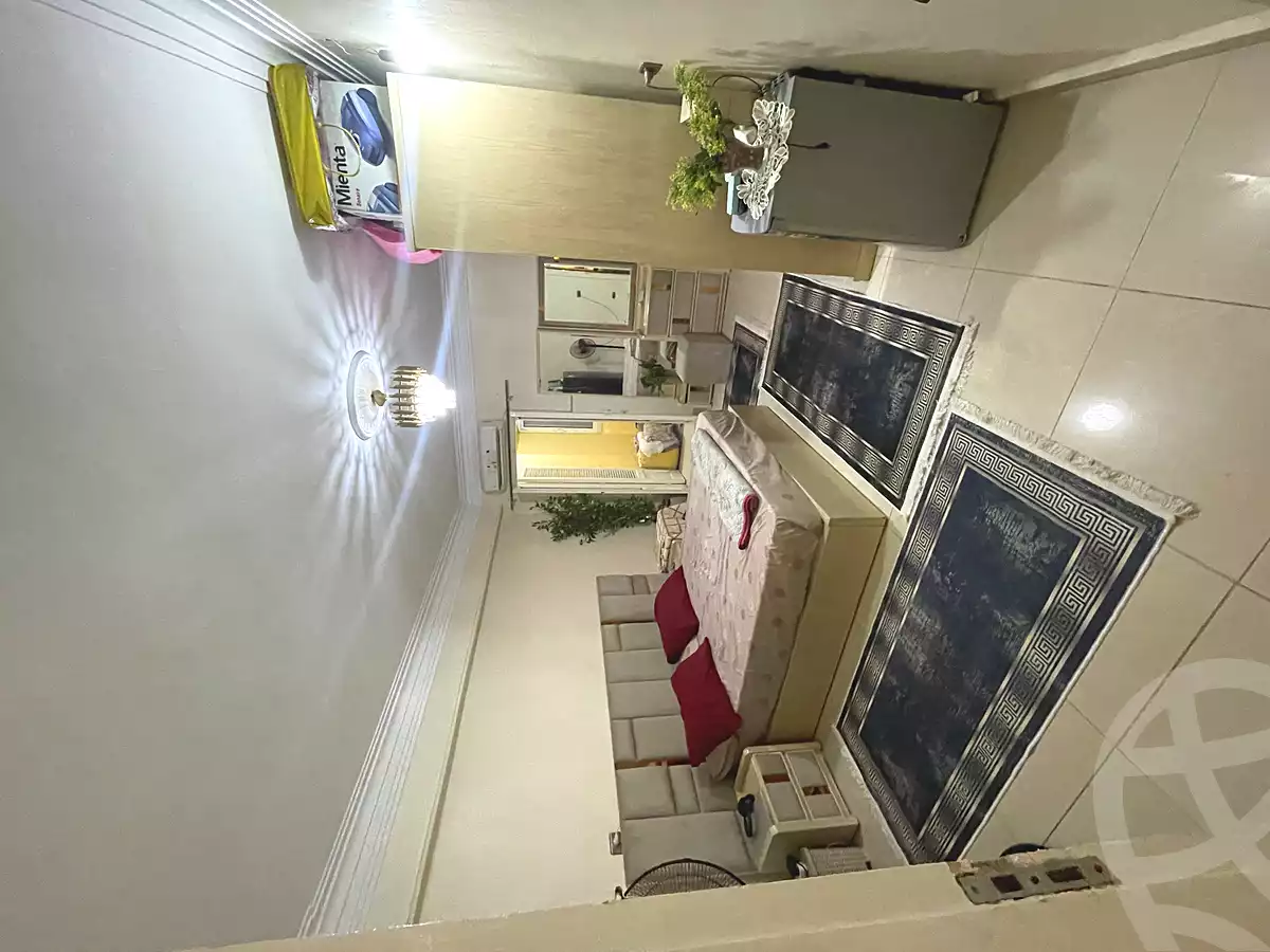 https://aqarmap.com.eg/en/listing/7255970-for-sale-cairo-el-abbasiya-ahmed-saaid-ahmed-saeed-st